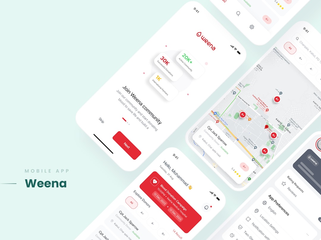 Aperçu du projet — capture 3