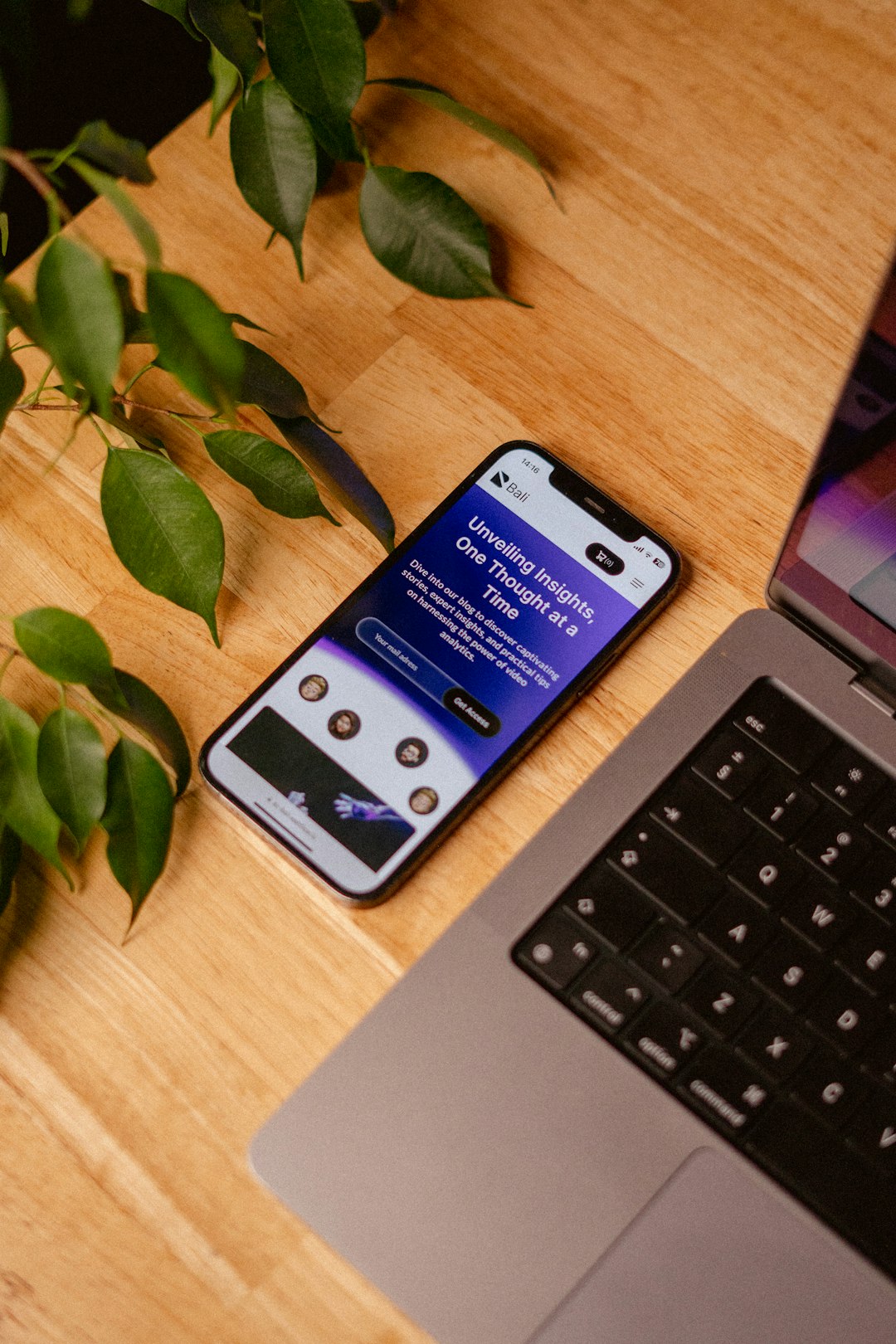 Aperçu du template — capture 2